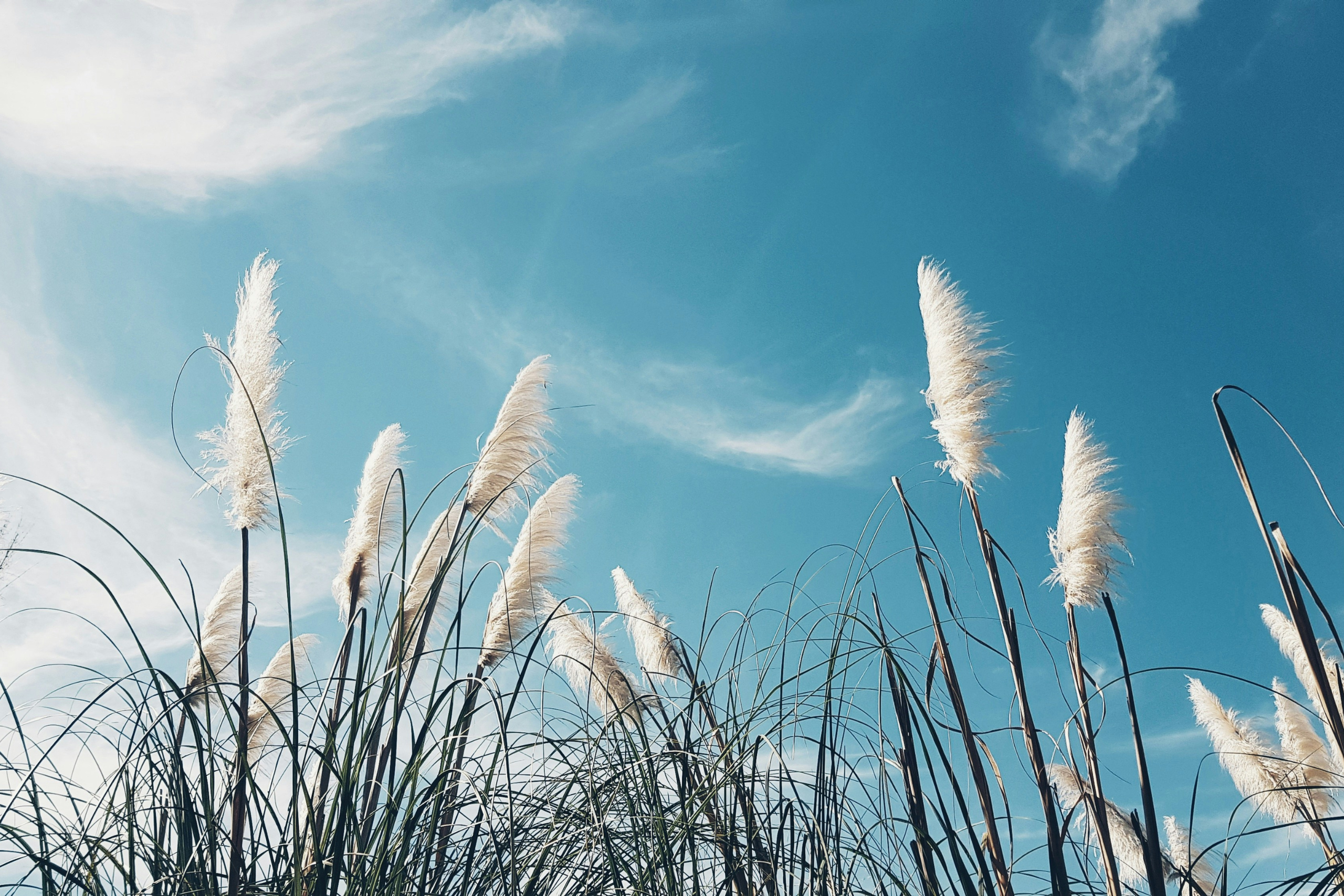 Sand dune against a blue sky